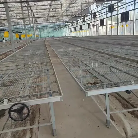 Manufacture Customized Low Carbon Steer Wire Standard Gardening Products Horticulture Seedbed Xinhe