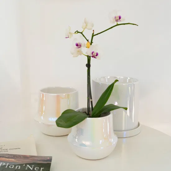 China Manufacturer Ins Amazon Hot Sale Wedding Decoration Planters Pot Ceramic Pearl White Glazed Orchid Pot